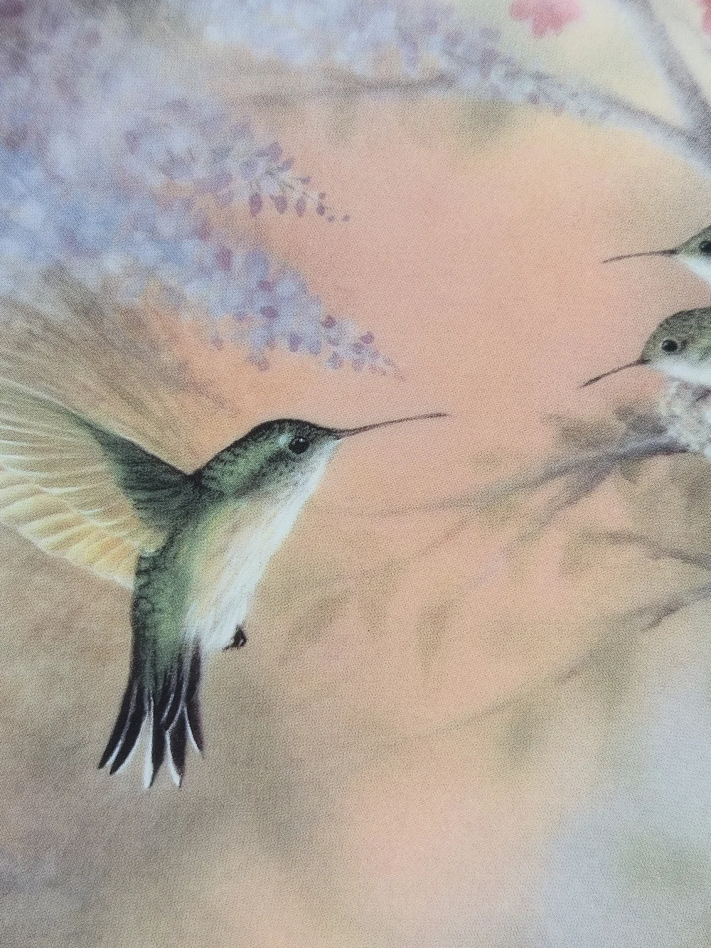 2 Bradford Hummingbird Decor Plates Wings of Grace, Garden Whispers W.S. Martin